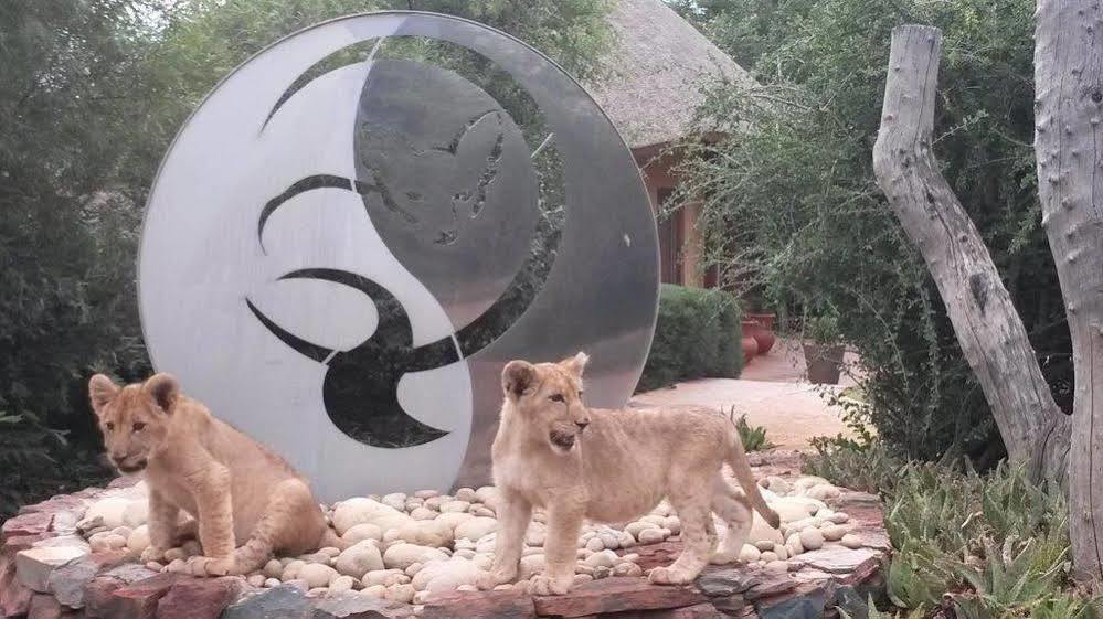 Bona Bona Game Lodge Wolmaransstad Ngoại thất bức ảnh