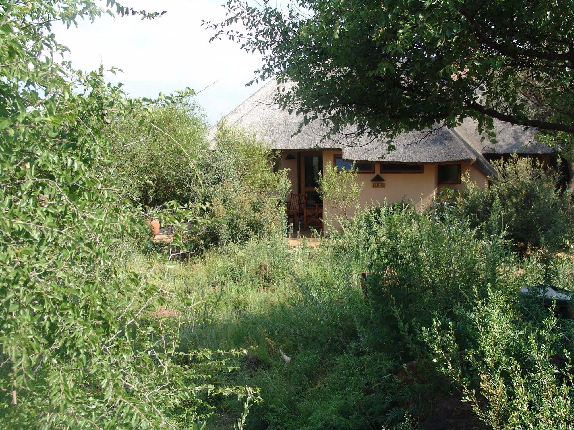 Bona Bona Game Lodge Wolmaransstad Ngoại thất bức ảnh